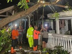 Puting Beliung Terjang Probolinggo, Rumah Roboh dan Pohon Tumbang Berantakan
