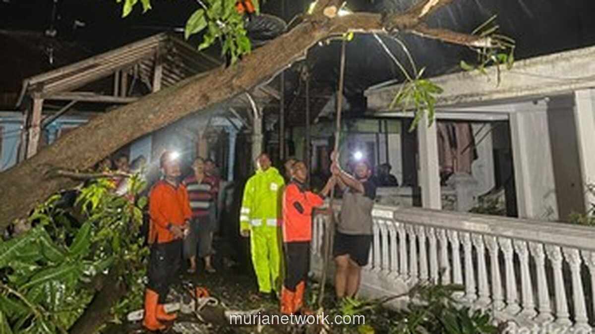 Puting Beliung Terjang Probolinggo, Rumah Roboh dan Pohon Tumbang Berantakan