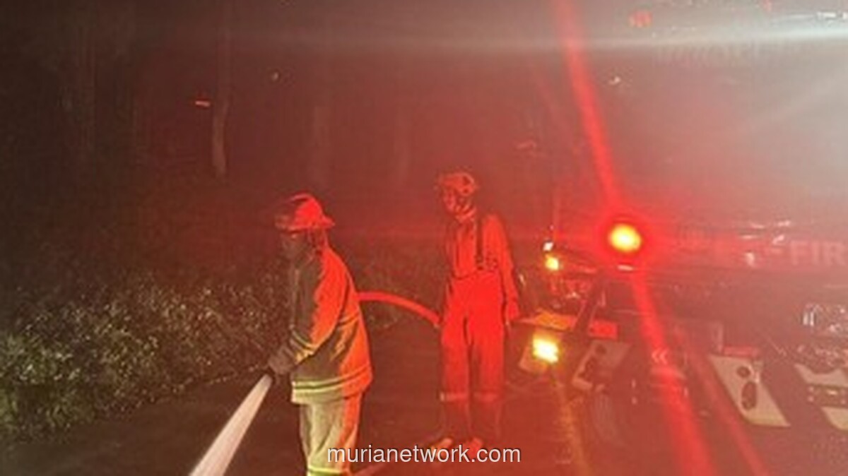 Damkar Bogor Sibuk Sepanjang 2025: Hampir 2.000 Aksi Penyelamatan dan Ratusan Kebakaran