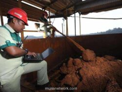 Antam Gencar Eksplorasi, Siapkan Rp 246 Miliar untuk Buru Emas, Nikel, dan Bauksit