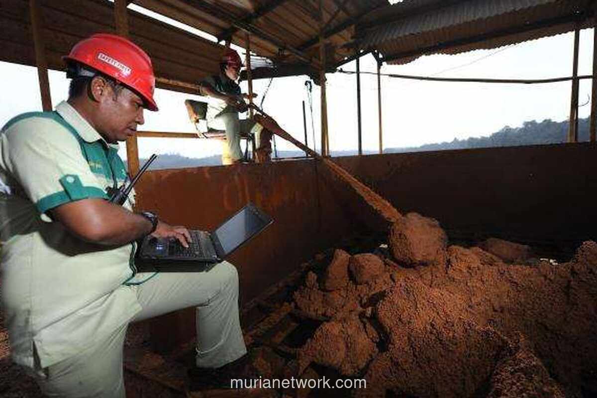 Antam Gencar Eksplorasi, Siapkan Rp 246 Miliar untuk Buru Emas, Nikel, dan Bauksit