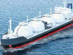 Potensi Rp8 Triliun dari Kapal Asing Menguap, INSA Desak Kolaborasi Kemenkeu-Kemenhub