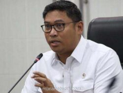 70 Ribu Hektar Sawah Sumatera Terdampak Bencana, 11 Ribu Hektar Rusak Parah