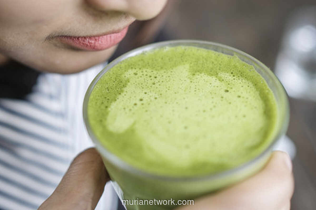 Matcha: Dari Upacara Teh Jepang Hingga Simbol Gaya Hidup Gen Z