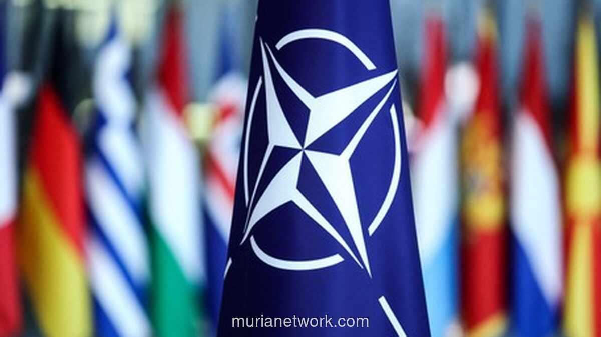 Sekjen NATO Ingatkan Eropa: Tanpa AS, Pertahanan Sendiri Hanya Mimpi