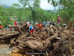 Malam Mencekam di Purbalingga: Kayu Gelondongan Raksasa Hantam Rumah Warga