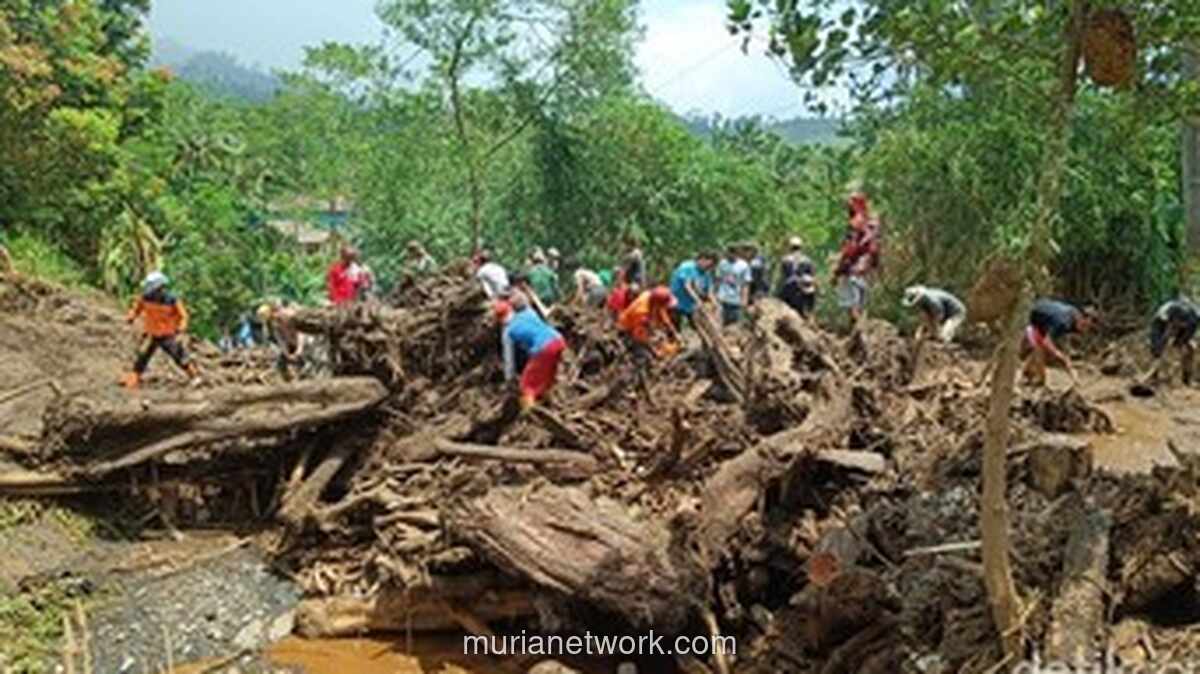 Malam Mencekam di Purbalingga: Kayu Gelondongan Raksasa Hantam Rumah Warga