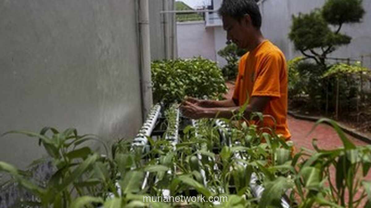 Nusakambangan Berubah: Dari Pulau Penjara Menjadi Pusat Pangan dan Ekspor