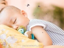 Orang Tua Wajib Tahu: Aturan Pakai Obat Nyamuk untuk Anak