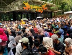 Antrean Panjang Warnai Hari Terakhir Gratis Tiket Bandung Zoo