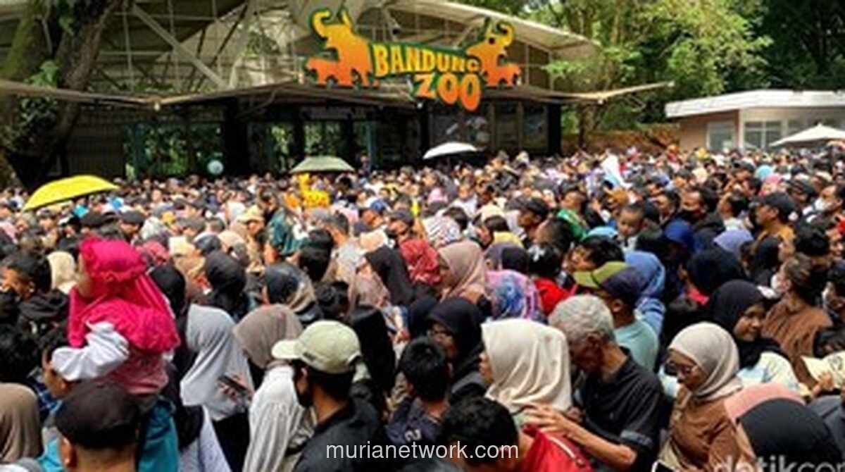 Antrean Panjang Warnai Hari Terakhir Gratis Tiket Bandung Zoo