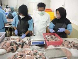 BGN Tegaskan: Hanya Posisi Inti SPPG yang Bisa Jadi PPPK