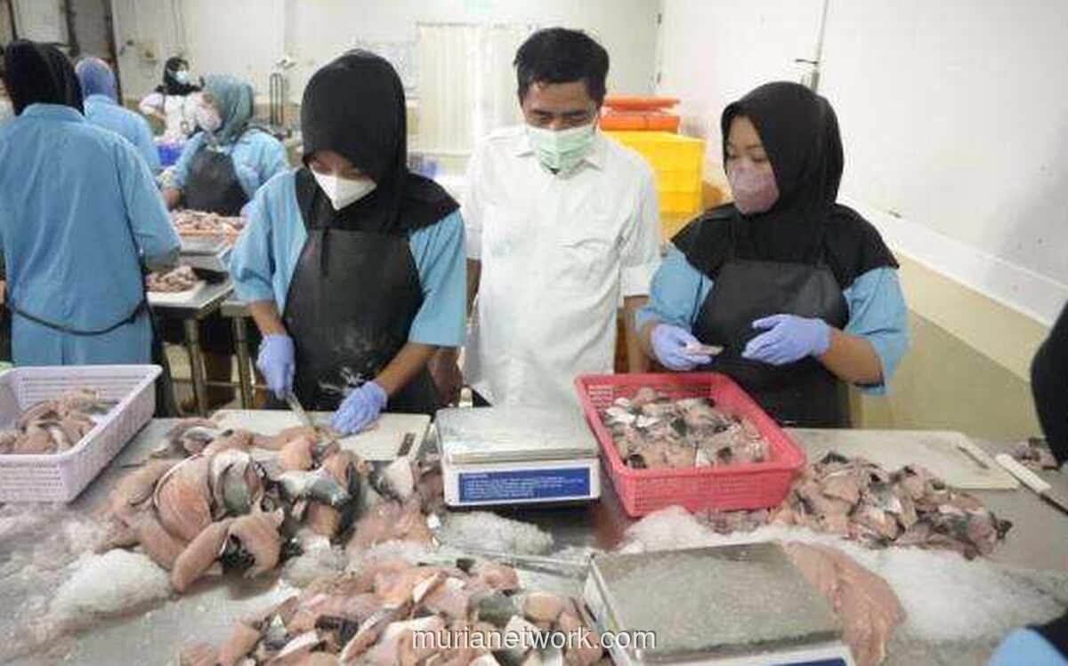 BGN Tegaskan: Hanya Posisi Inti SPPG yang Bisa Jadi PPPK