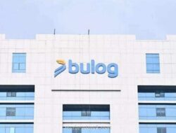 Bukan Laba, Ini Alasan di Balik Margin 7 Persen BULOG