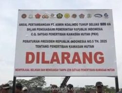 Satgas Rebut Kembali 1.700 Hektare Lahan Tambang Ilegal di Hutan