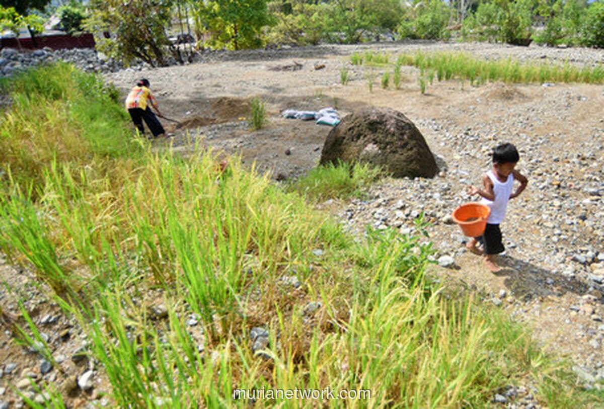 Bencana Sumatera Picu Lonjakan Kemiskinan, Cak Imin: Kelas Menengah pun Terancam