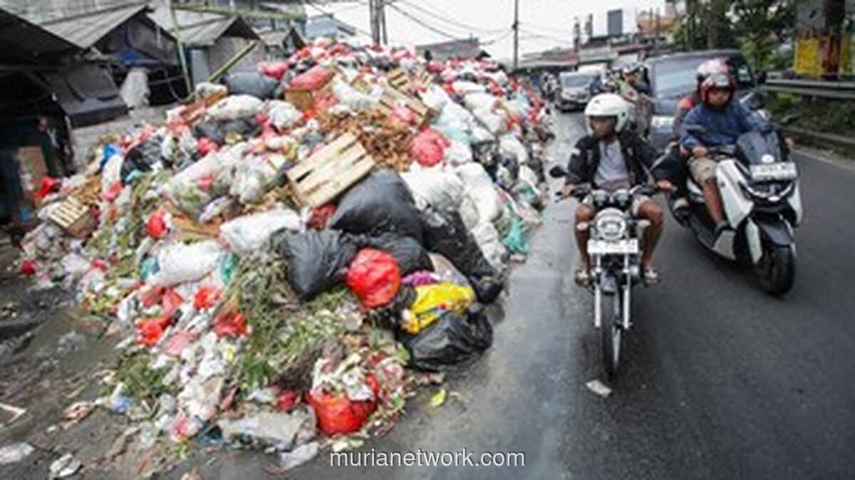 Wakil Wali Kota Tangsel Buka Suara Soal Penghentian Sampah ke Bogor