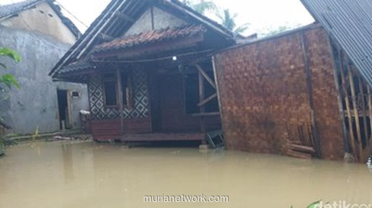 Warga Patia dan Pagelaran Cemas, Banjir Keempat Tahun Ini Belum Juga Surut