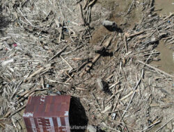 12 Perusahaan Disorot Satgas, Diduga Picu Banjir di Sumatera