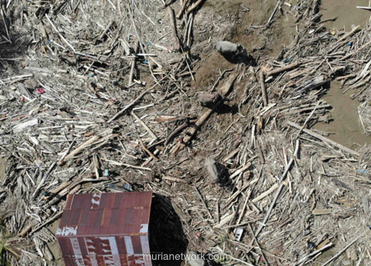 12 Perusahaan Disorot Satgas, Diduga Picu Banjir di Sumatera