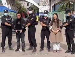 Beruang Kutub Makin Gemuk, 11 Penipu Dieksekusi, dan Pesawat Jatuh di Kolombia