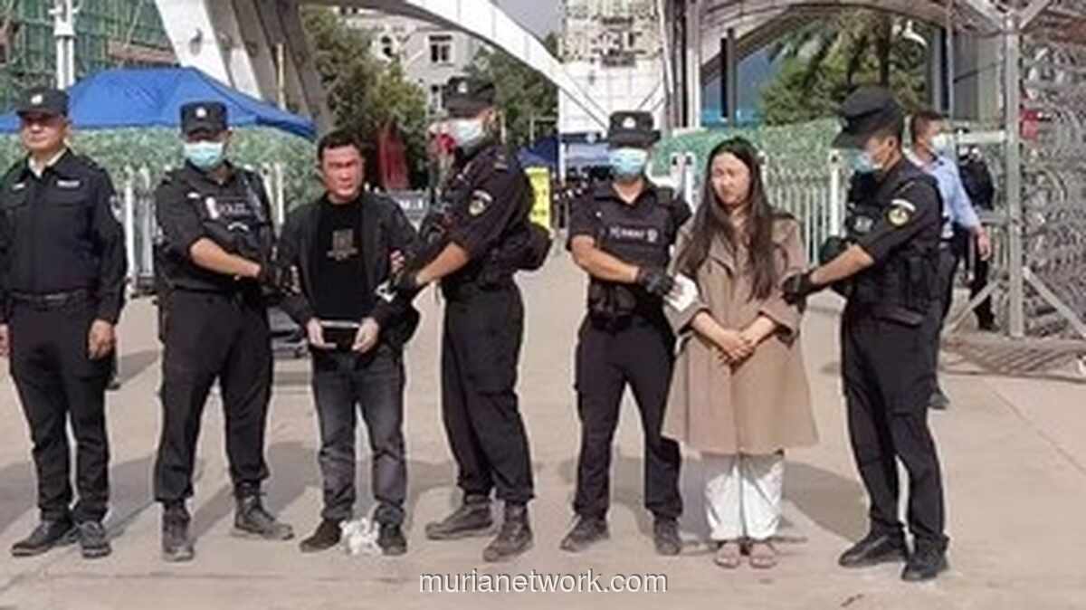 Beruang Kutub Makin Gemuk, 11 Penipu Dieksekusi, dan Pesawat Jatuh di Kolombia