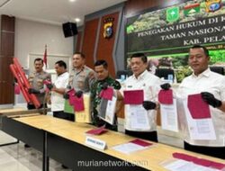 Polisi Riau Ungkap Perambahan 270 Hektare Tesso Nilo, Tiga Tersangka Diciduk