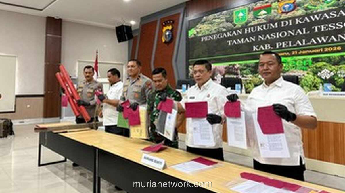 Polisi Riau Ungkap Perambahan 270 Hektare Tesso Nilo, Tiga Tersangka Diciduk