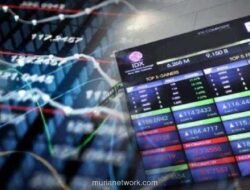 Dana IPO CRAB Terserap 95%, Mayoritas untuk Belanja Bahan Baku