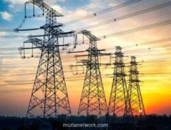 Anggota DPR Soroti Listrik Gratis dan Capaian Minyak ESDM di 2025