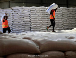 Stok Beras Pemerintah Tembus 3,36 Juta Ton, Bapanas: Tak Perlu Impor