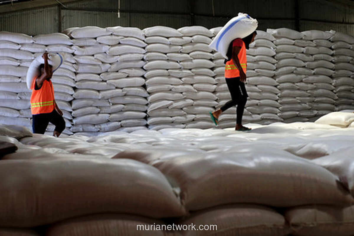 Stok Beras Pemerintah Tembus 3,36 Juta Ton, Bapanas: Tak Perlu Impor