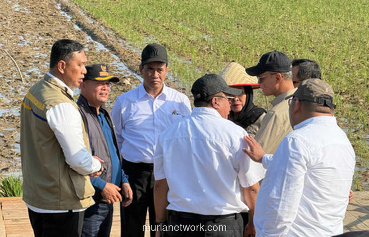 Harga Pangan di Tiga Provinsi Terdampak Bencana Mulai Stabil