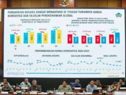 APBN 2025 Cetak Kelebihan Dana, SiLPA Tembus Rp48,9 Triliun