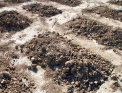 Makam Tujuh Tahun Dibongkar, Tulang Belulang Almarhum Raib di TPU Serang