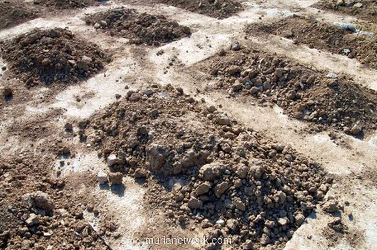 Makam Tujuh Tahun Dibongkar, Tulang Belulang Almarhum Raib di TPU Serang
