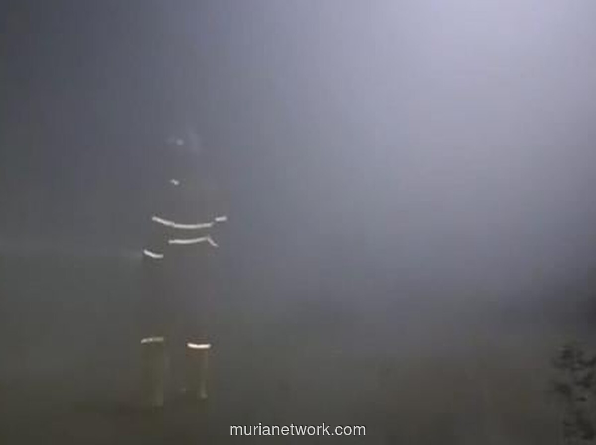 Asap Tebal dan Dugaan Ledakan di Tambang Bogor, Sejumlah Pekerja Terjebak