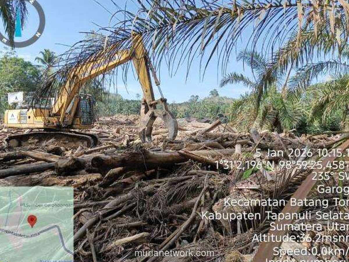 Kayu Hanyutan Diolah Jadi Huntara, Upaya Bersihkan Pasca-Bencana di Sumatera