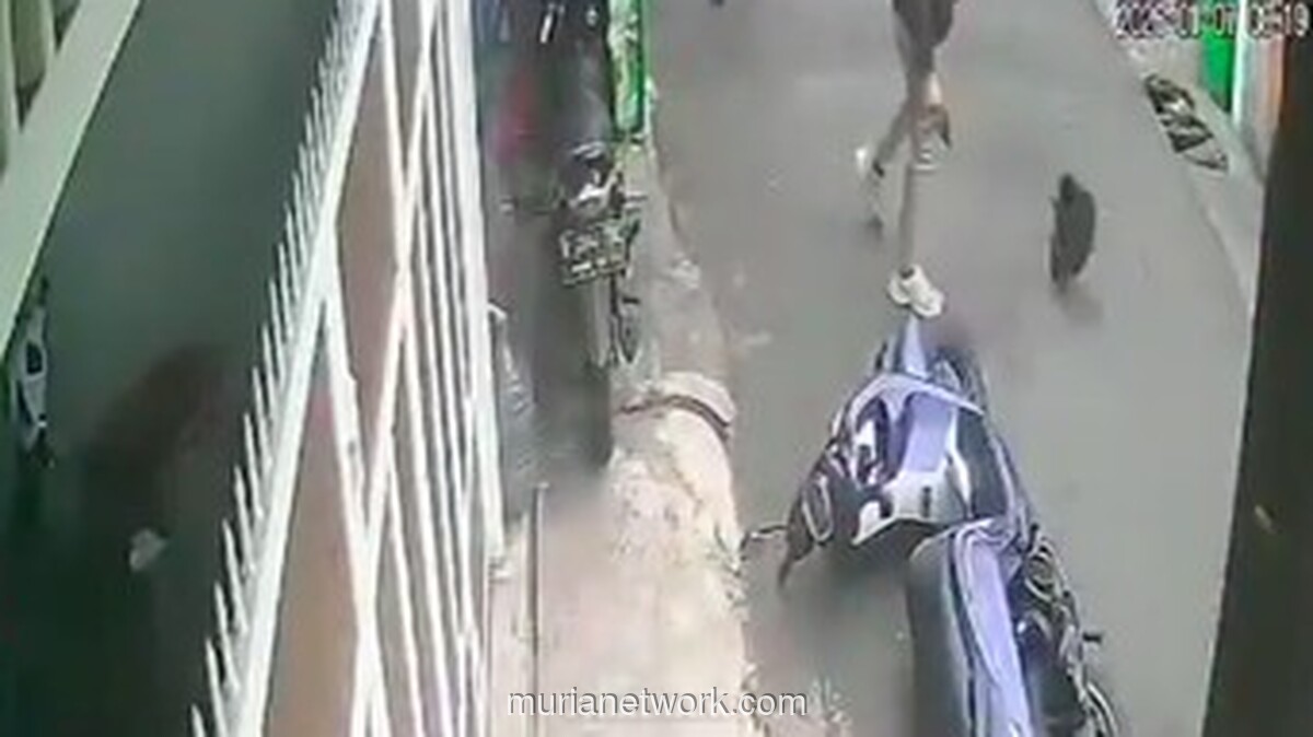 Pencuri Motor di Palmerah Lepaskan Tembakan Saat Dikeroyok Warga