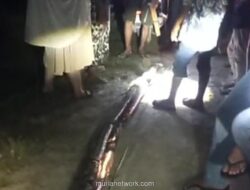 Nurul Santi Bertaruh Nyawa Melawan Piton Raksasa di Tengah Malam