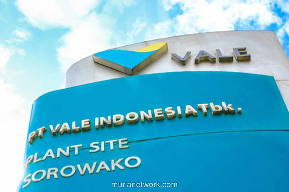 Operasi Tambang Vale Terhenti, Tunggu Izin ESDM untuk RKAB 2026