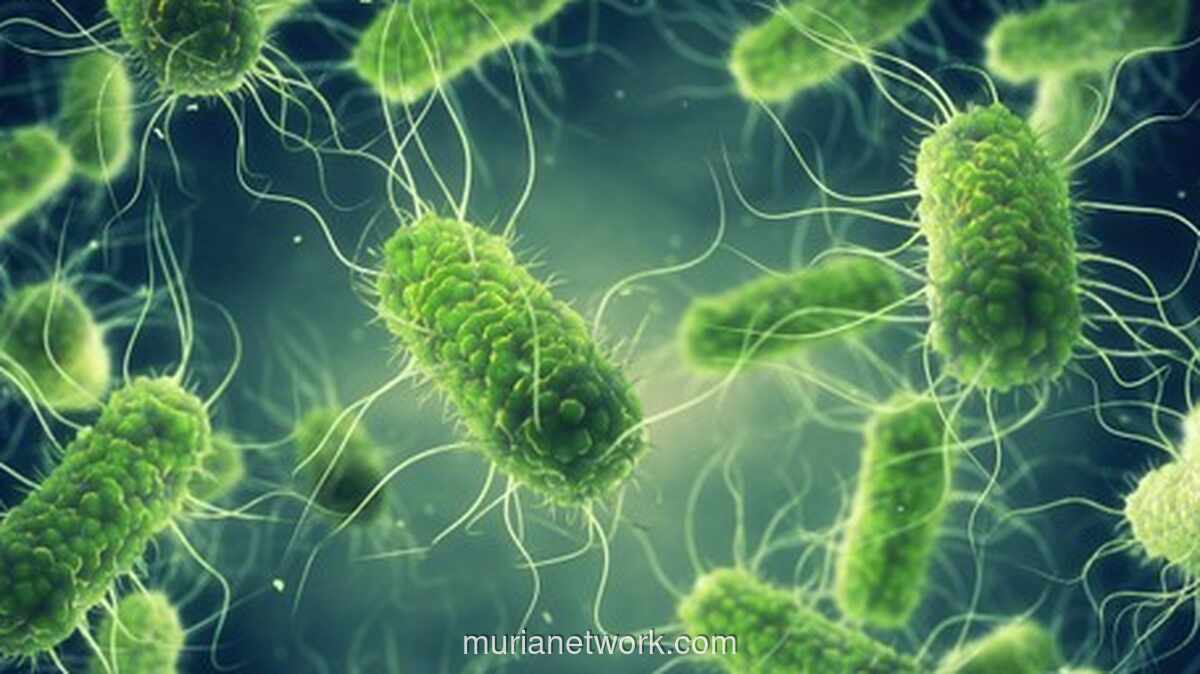 BPOM Tarik Susu Formula Nestlé Meski Uji Sampel Dinyatakan Negatif