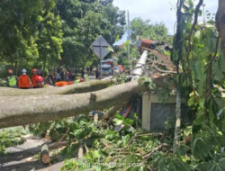 Angin Kencang di Yogyakarta Tewaskan Dua Warga, Puluhan Titik Rusak