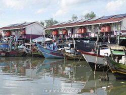 Prabowo Genjot Produksi Ikan, Targetkan 1.100 Kampung Nelayan pada 2026