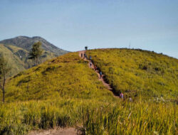 Hilang di Lereng Lawu, Pencarian Yasid Masih Mentok di Hari Kesembilan