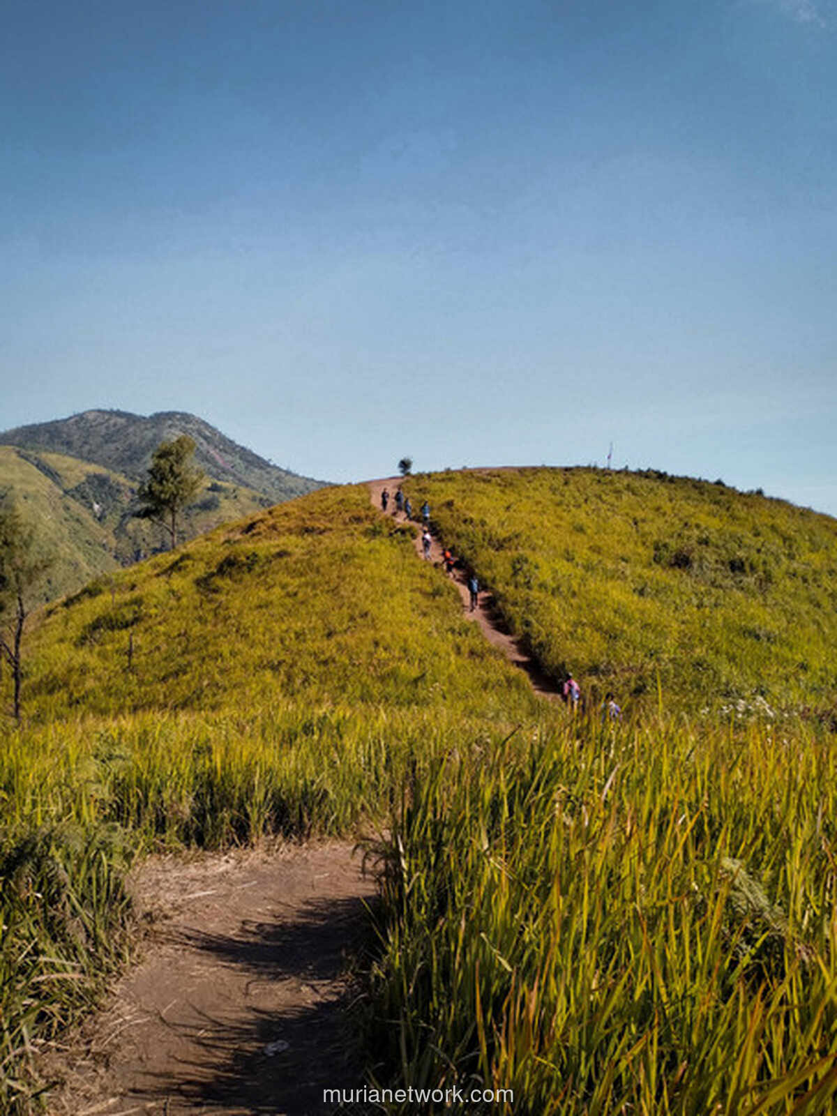 Hilang di Lereng Lawu, Pencarian Yasid Masih Mentok di Hari Kesembilan