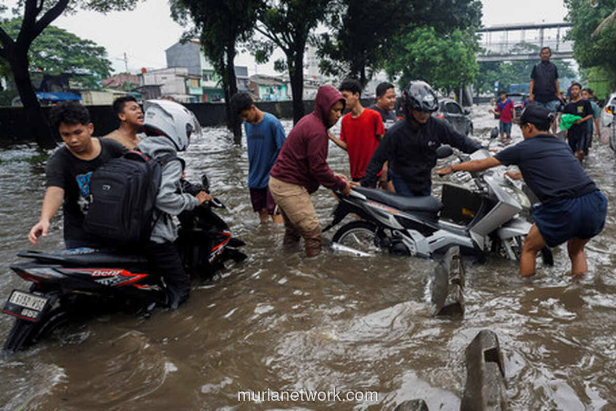 Jakarta Tenggelam: 85 RT dan 15 Ruas Jalan Terendam, Air di Pejaten Timur Tembus 2 Meter