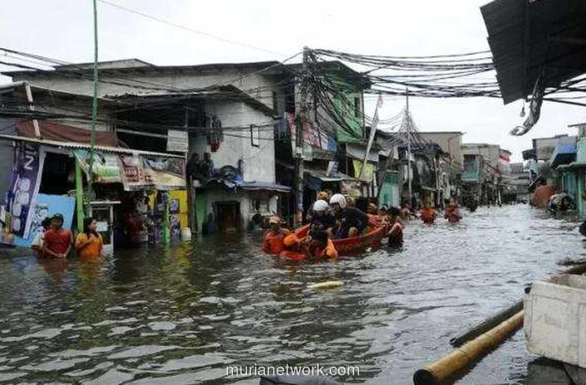 Hujan Ekstrem dan Rob Rendam 80 Persen Jakarta Utara