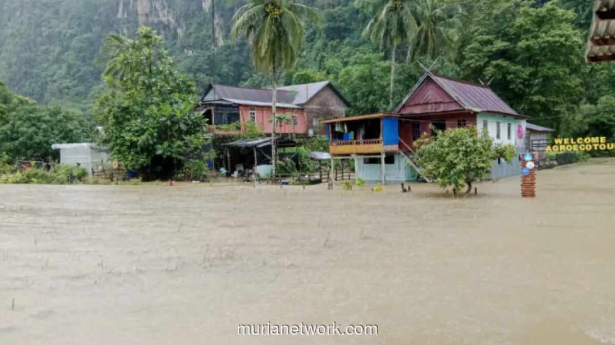 Petani Maros Desak Normalisasi Sungai Usai Ratusan Hektar Sawah Terendam