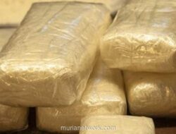 Prancis dan AS Sita 2,4 Ton Kokain dari Kapal di Pasifik